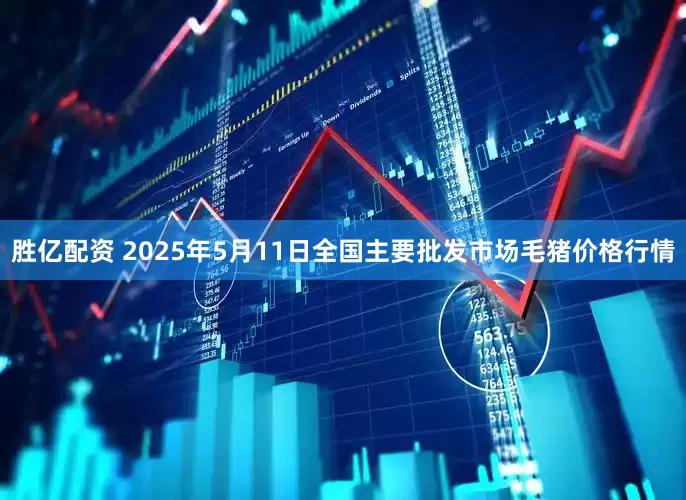 胜亿配资 2025年5月11日全国主要批发市场毛猪价格行情