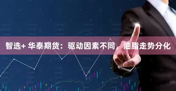 智选+ 华泰期货：驱动因素不同，油脂走势分化